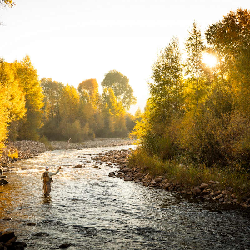 Fly Fishing