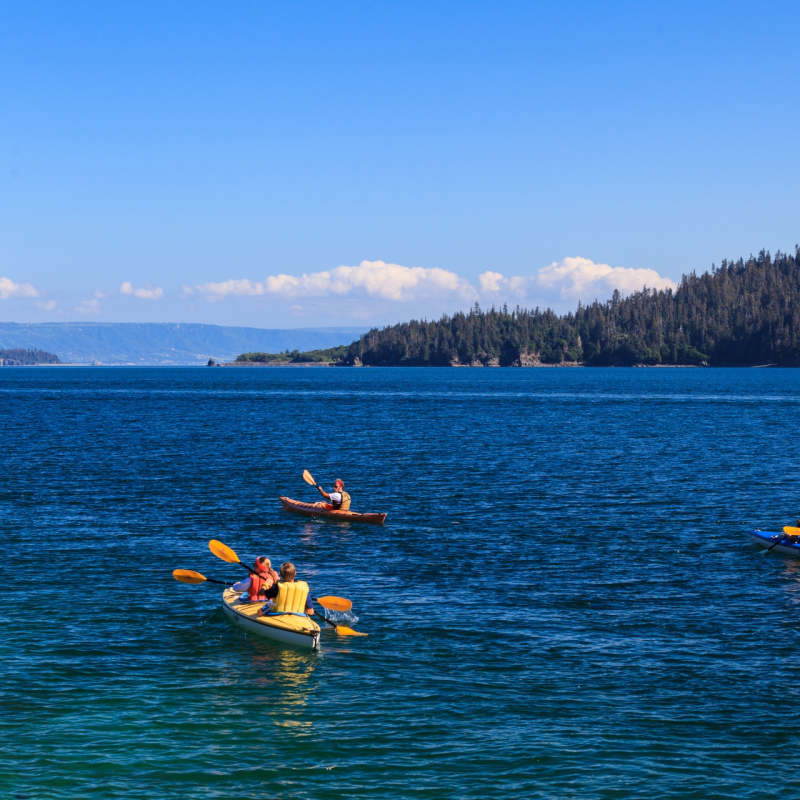 Sea Kayaking - Tutka Bay Lodge