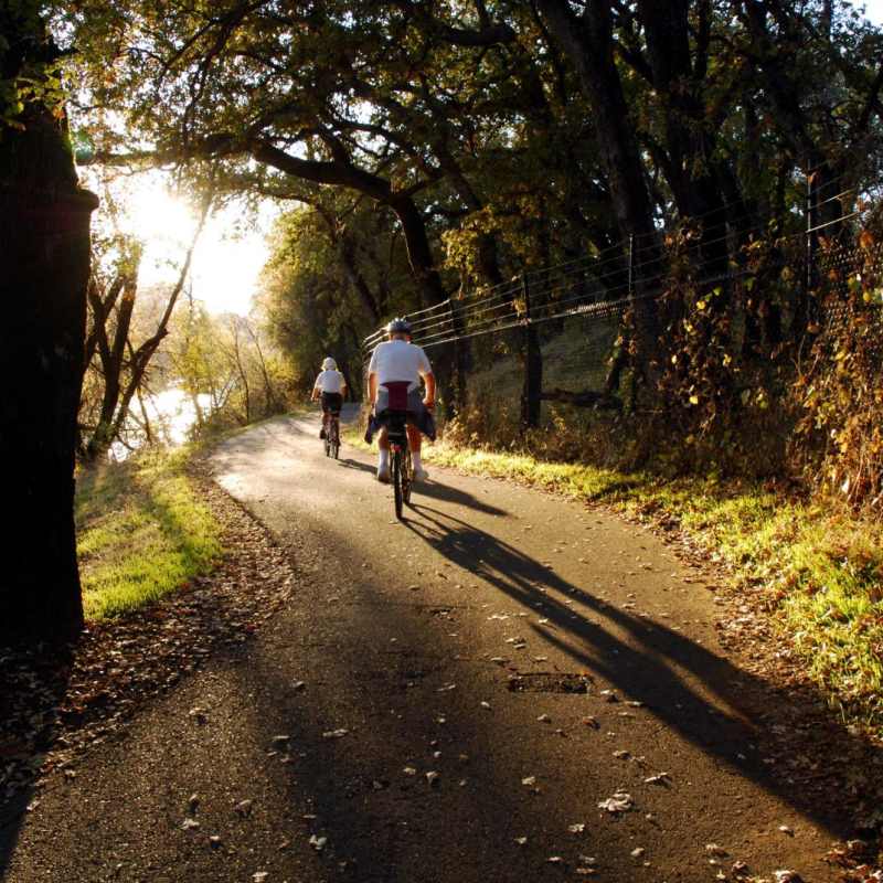 Bike Trails