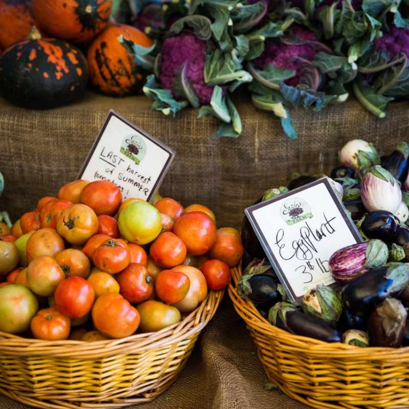 Farmers Market - Gourmet California 