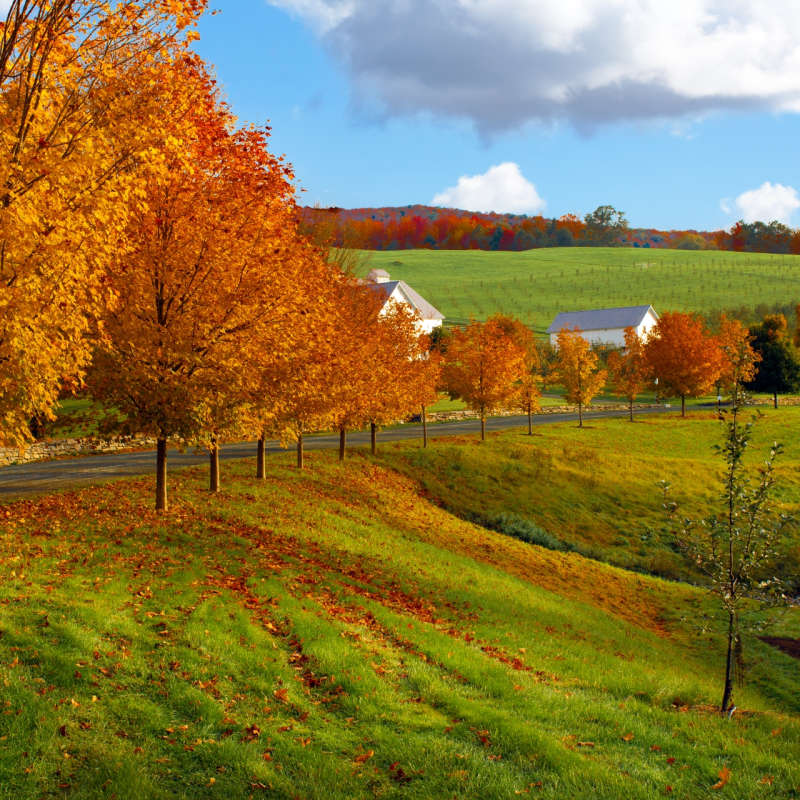 Woodstock in the Fall - Boston and Vermont 