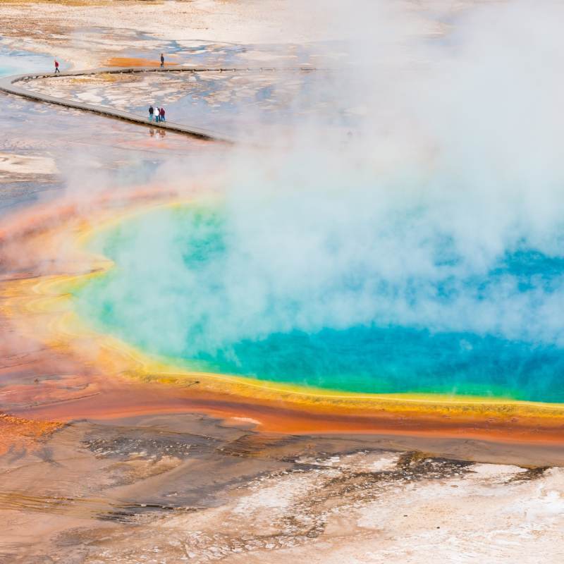 Yellowstone NP - Jackson Hole and Montana 