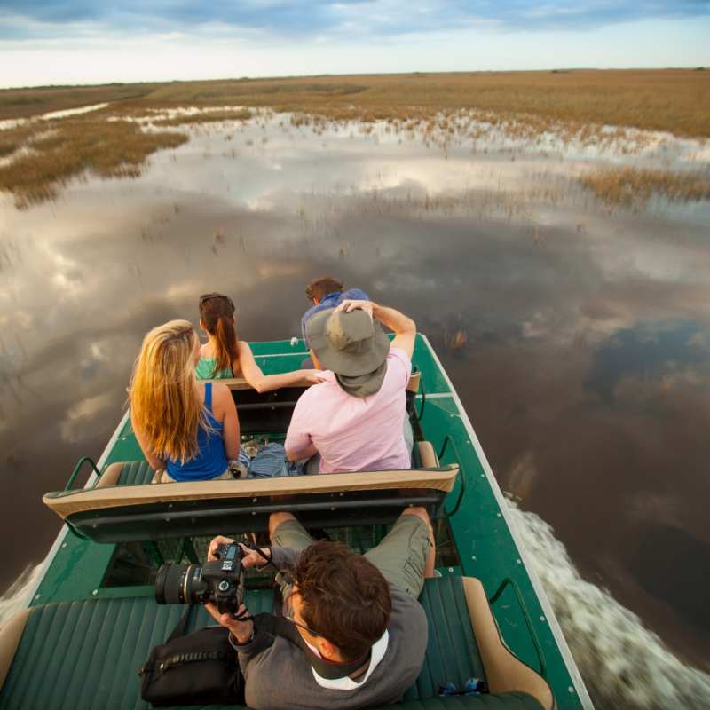 Everglades  