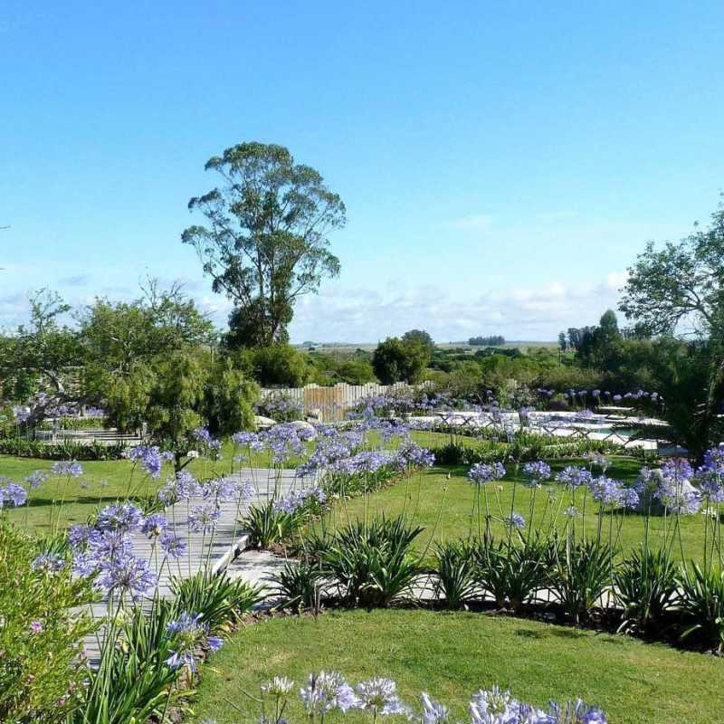 Gardens - Casa Ana