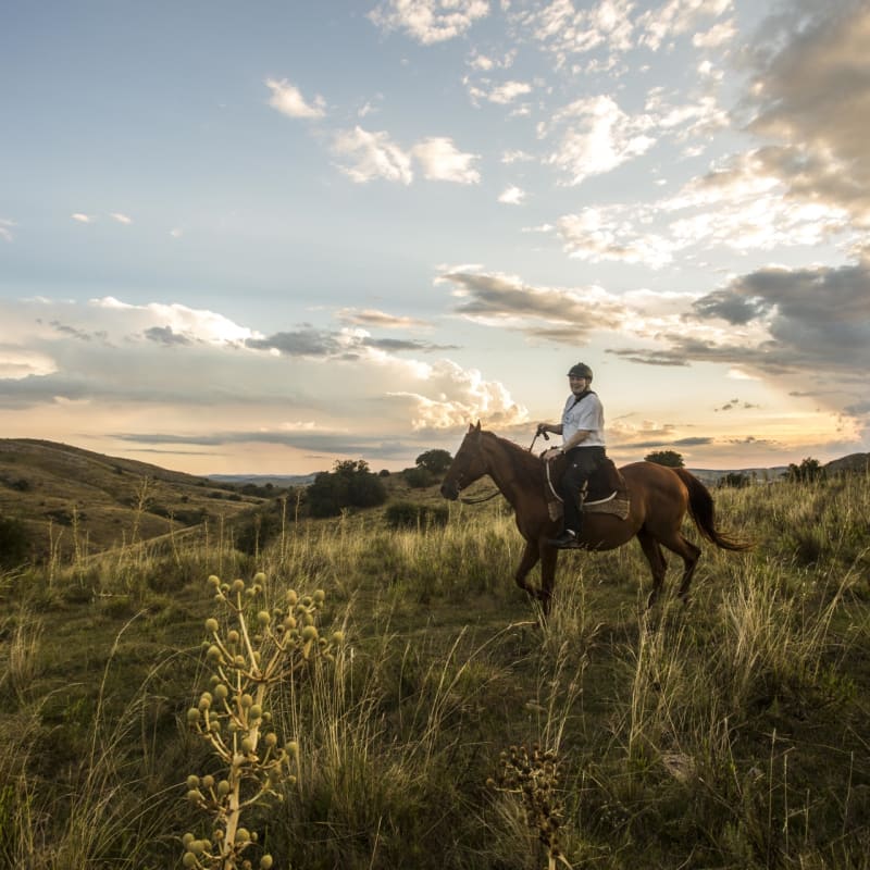 El Balcon Del Abra - Horse Riding 