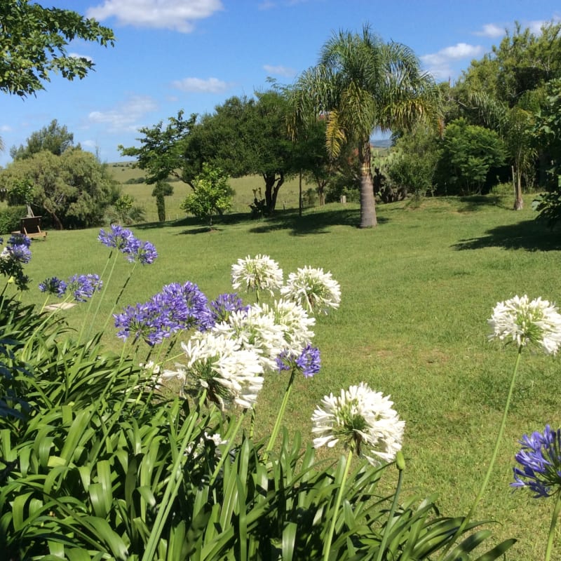 El Balcon Del Abra - Gardens 