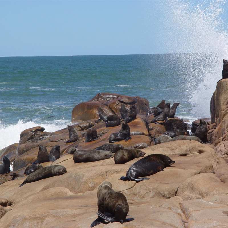 Family Fun in Uruguay 