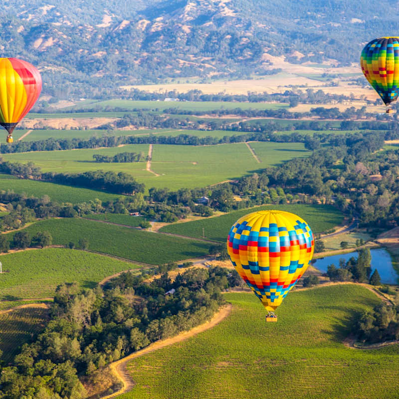 Napa Valley 