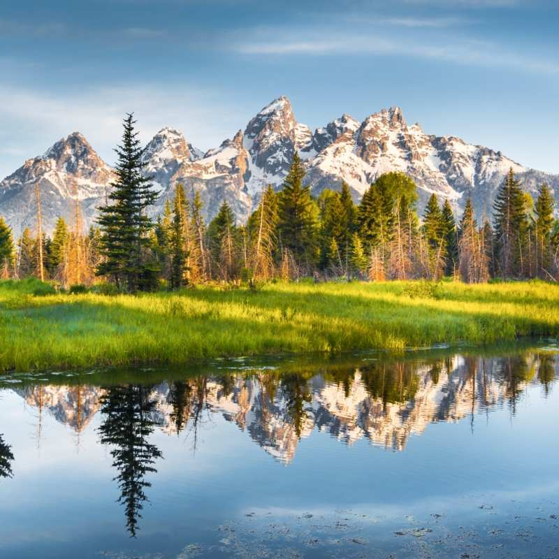 Yellowstone national park