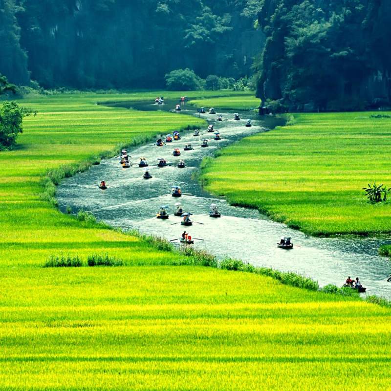 Ninh Bin 