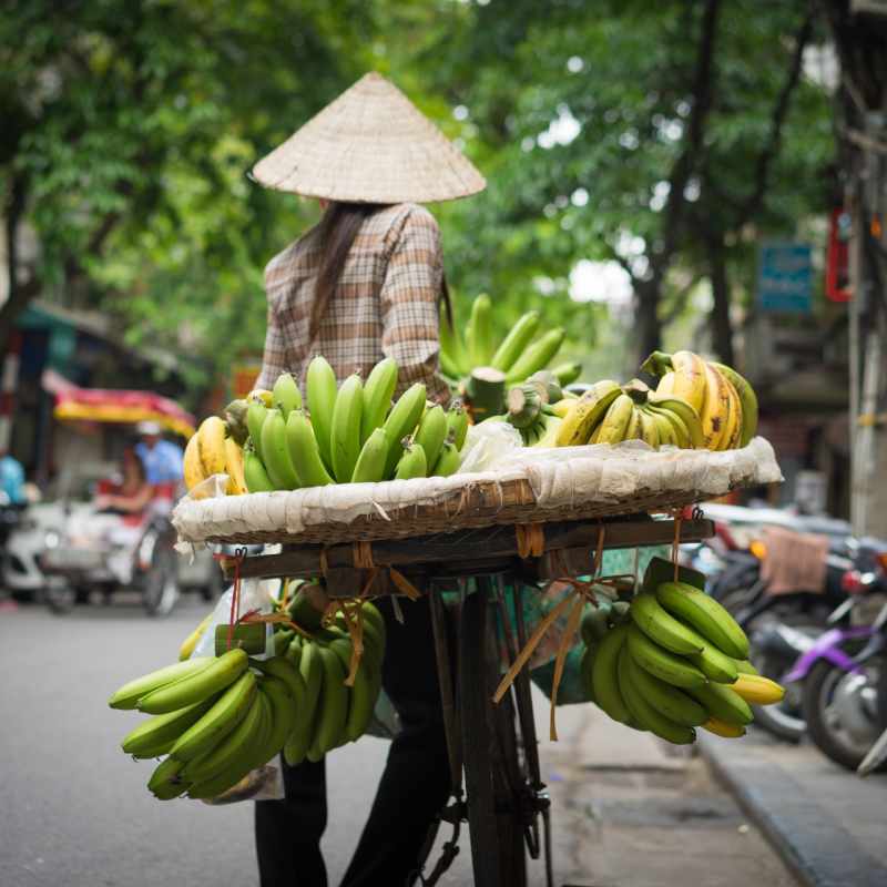 Hanoi Fruit Seller 