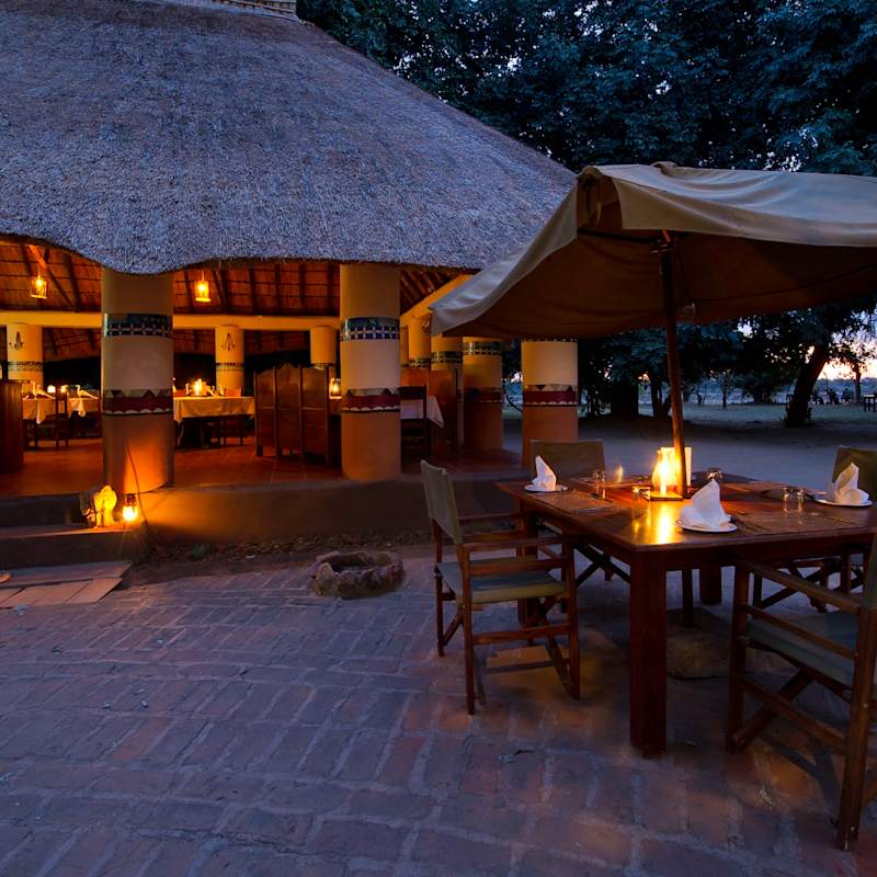 Flatdogs Camp 