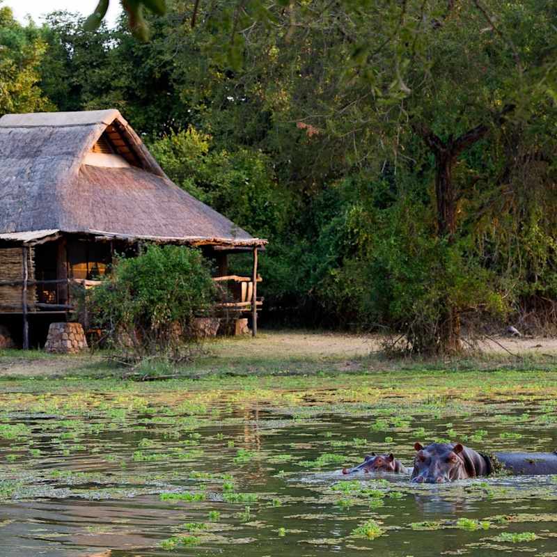 Lagoon - Mfuwe Lodge