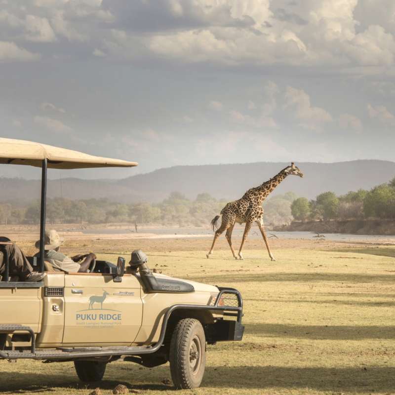 Piku Ridge game drive 