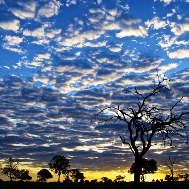 Dawn in Hwange - Bomani Tented Lodge 