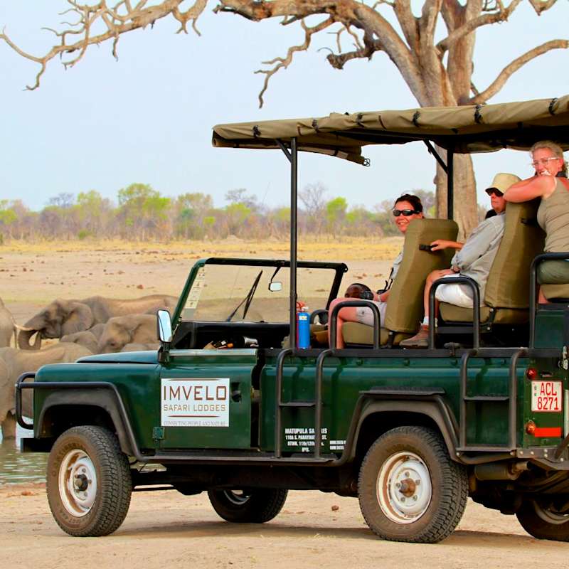Game drive  - Camelthorn