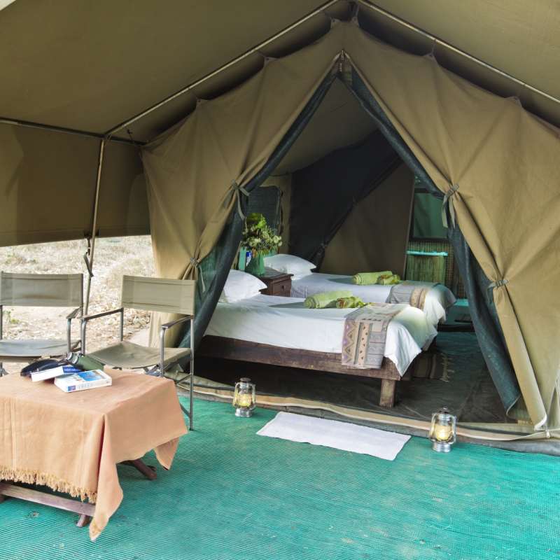 Tent set up 
