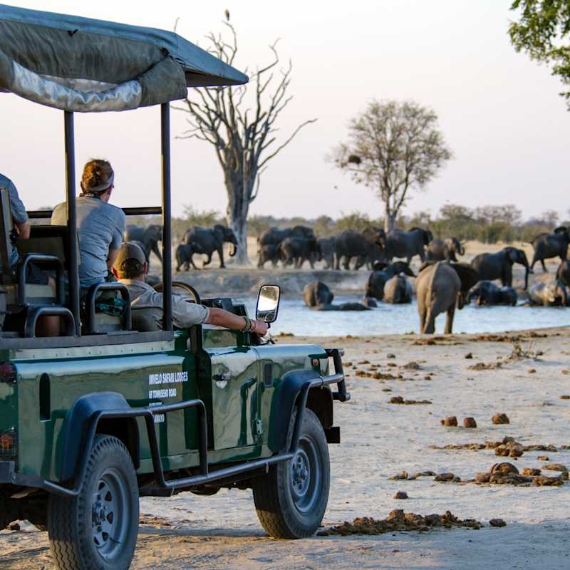 Watching elephants  - Nehimba Lodge