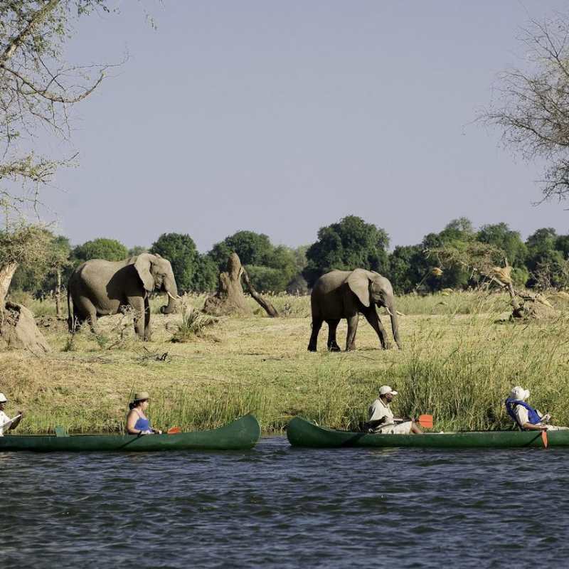 Canoeing on the Zambezi River - Rukomechi Camp