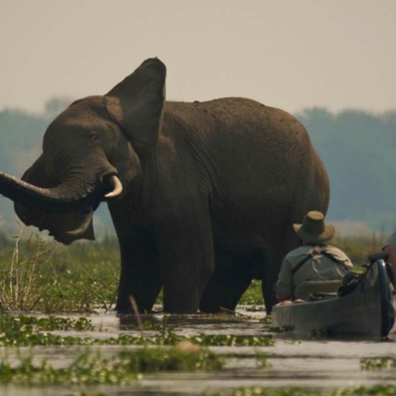 Canoe safari - Vundu Camp