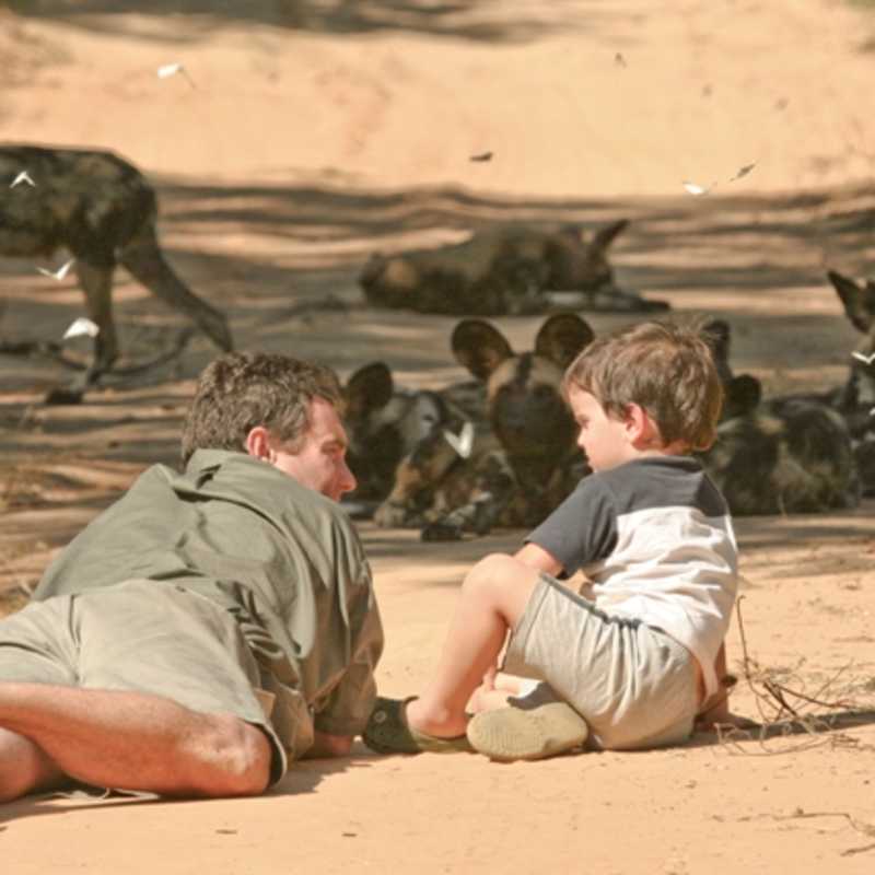 Up close with wild dogs - Vundu Camp
