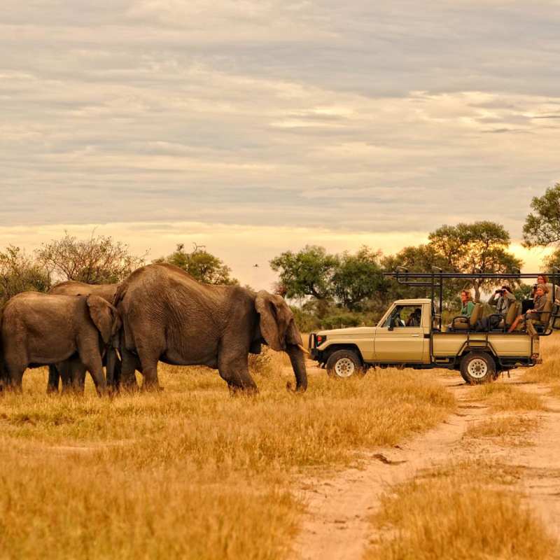Exploring Mana Pools from Kanga Camp - Zimbabwe in style