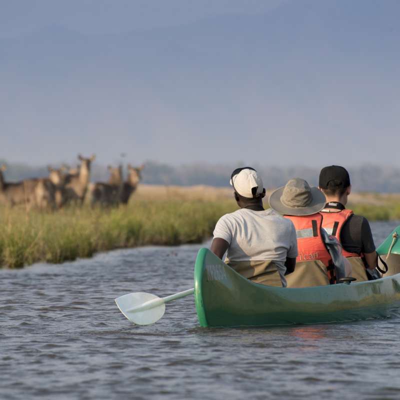 Canoeing on the Zambezi - 