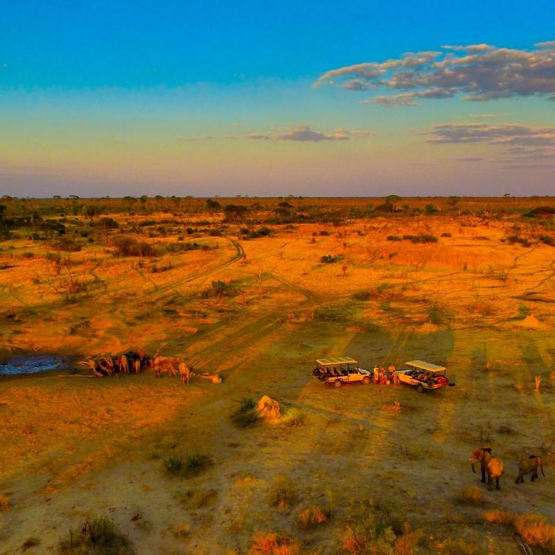 Hwange game drive
