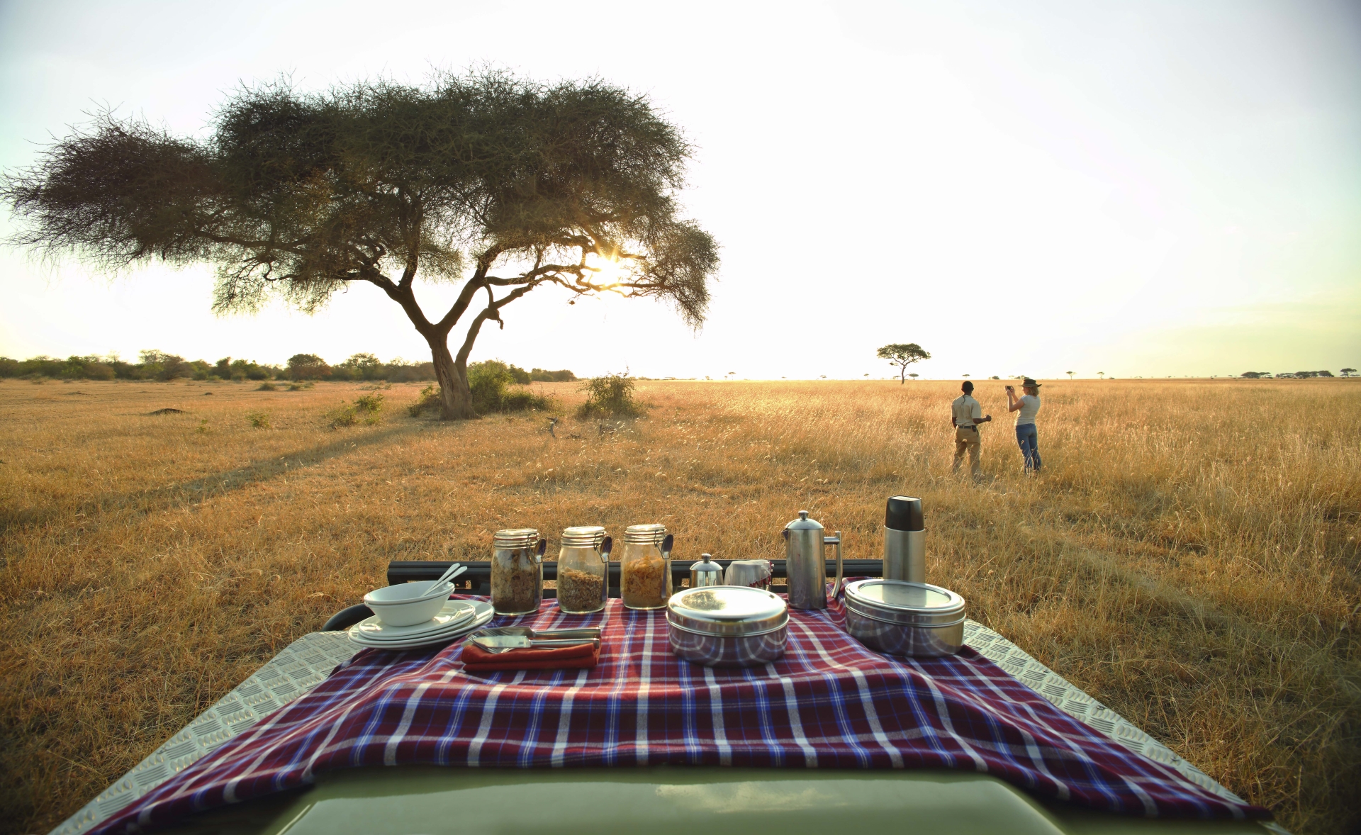 Highlights of Tanzania and Kenya 