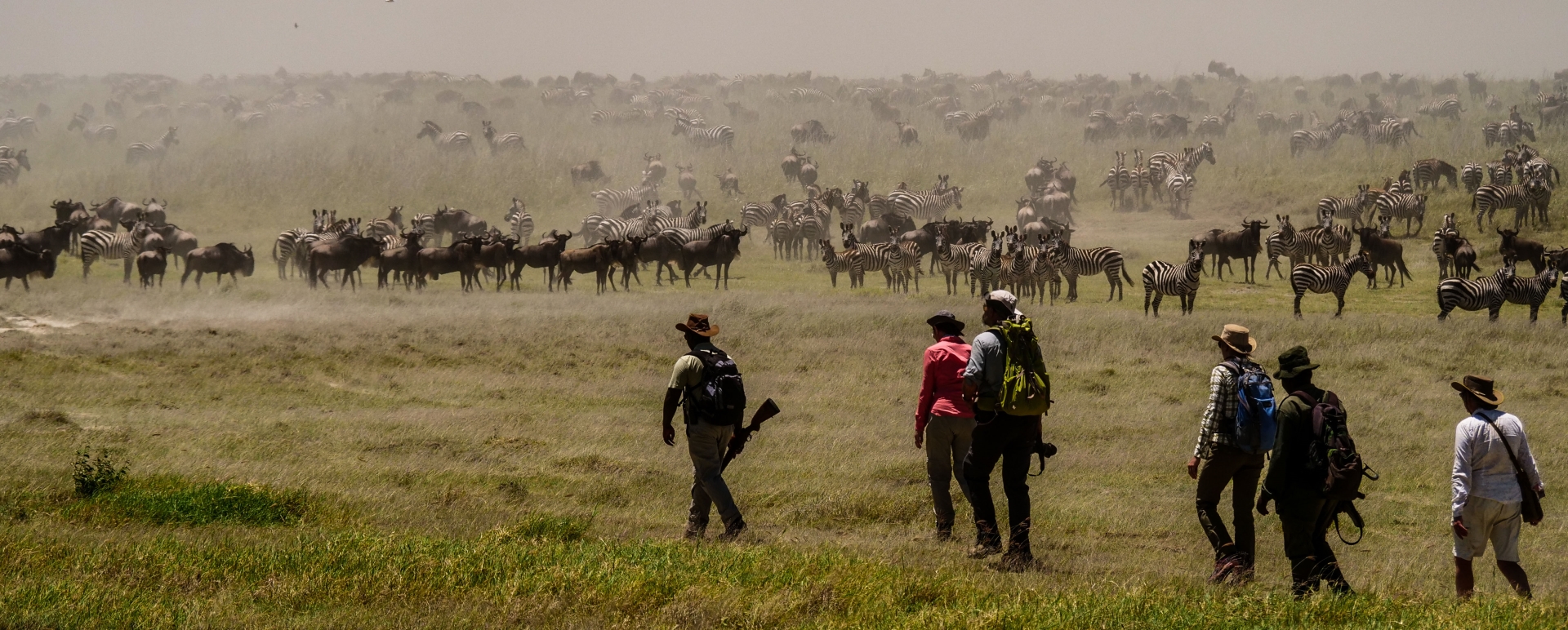 Walk with the Great Migration 