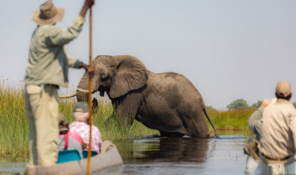 Plan your Africa trip today