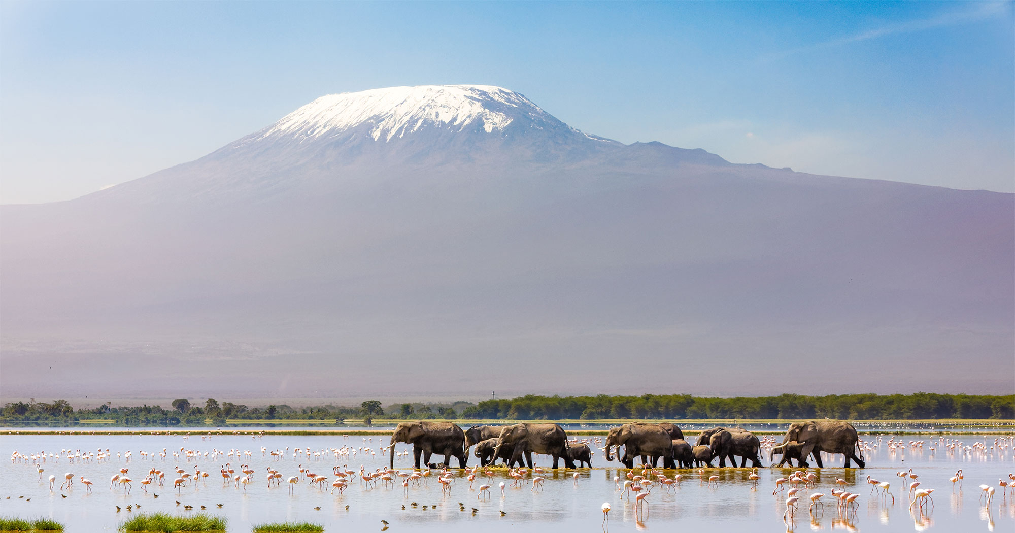Plan your Kenya  trip today
