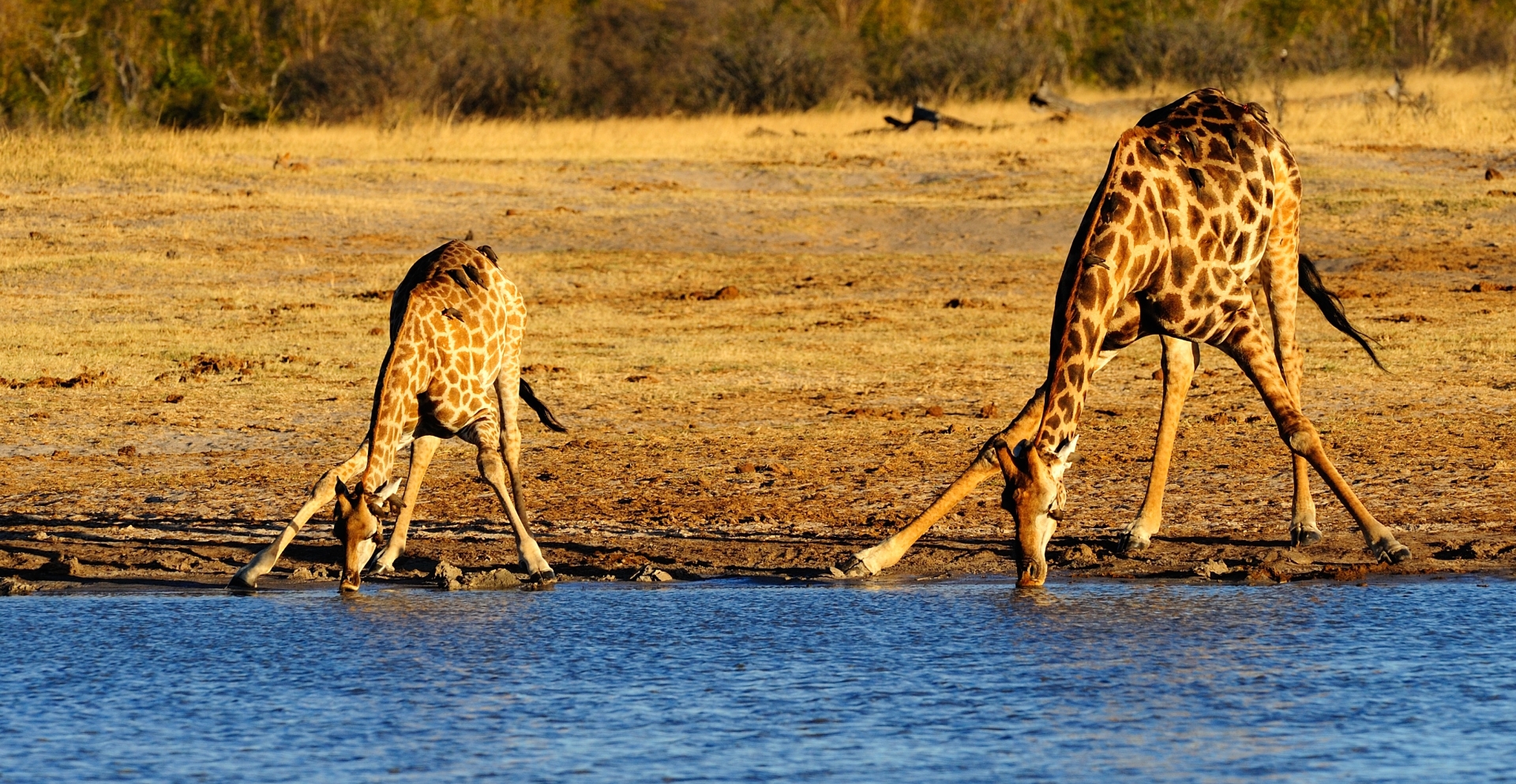Plan your Zimbabwe trip today