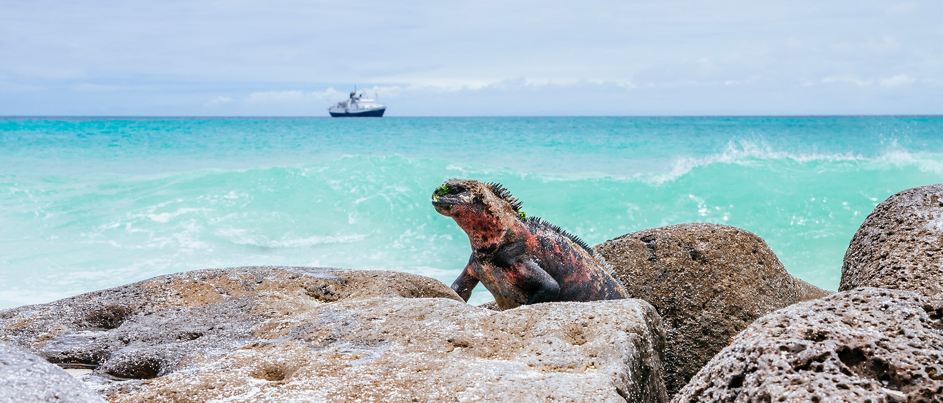 Plan your Ecuador trip today