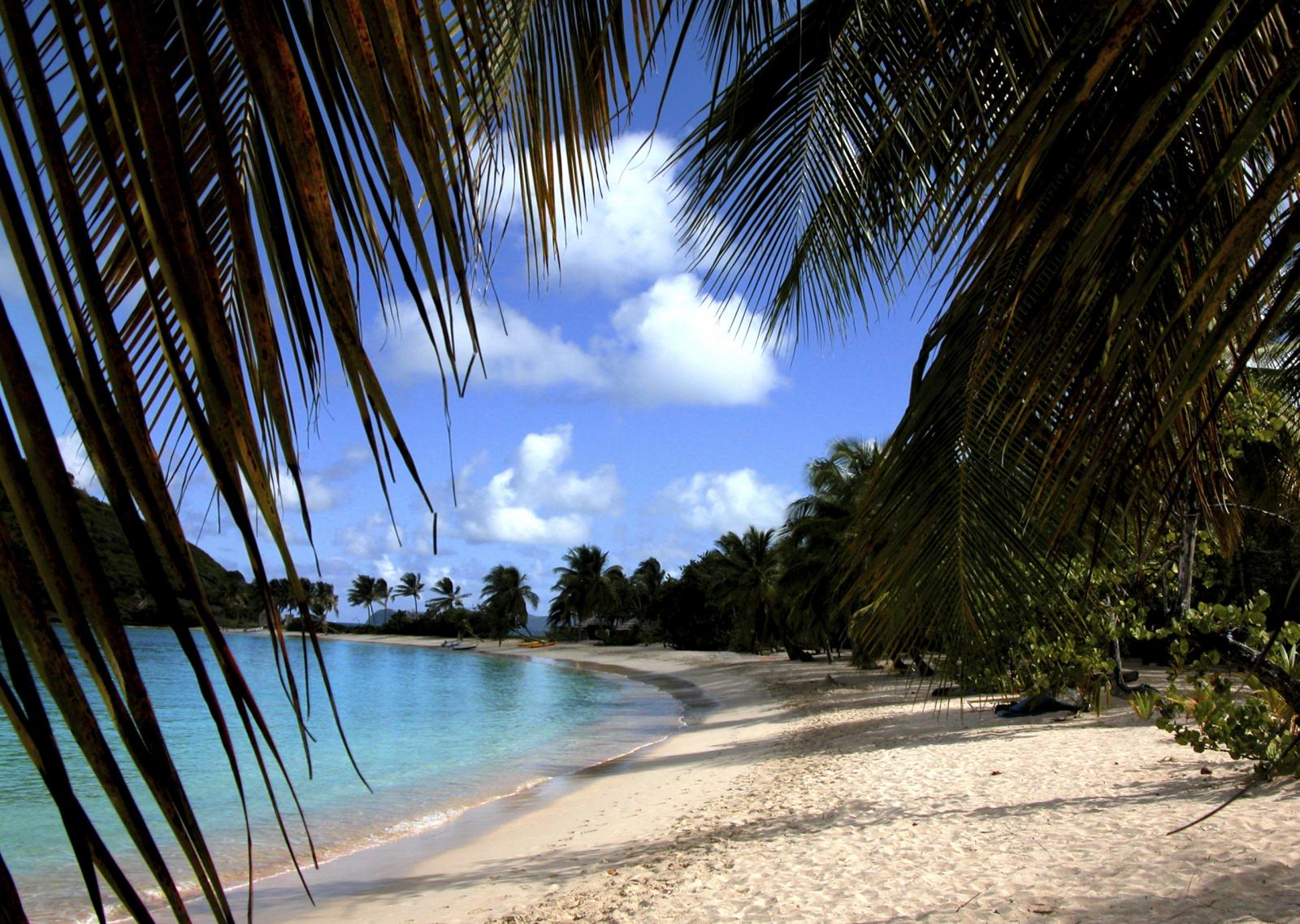 Plan your St Vincent & Grenadines trip today