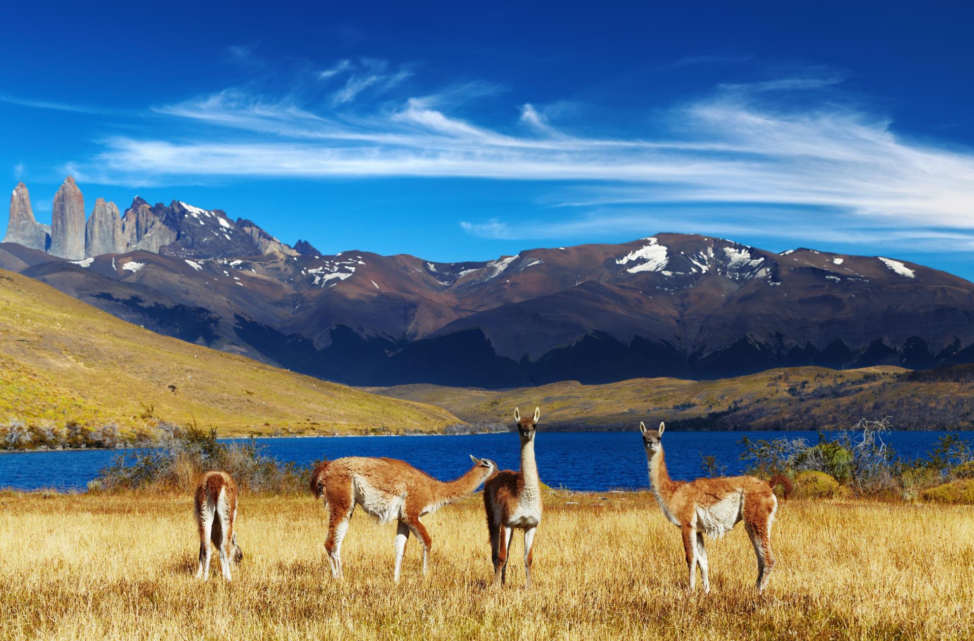 Epic Highlights of Patagonia 
