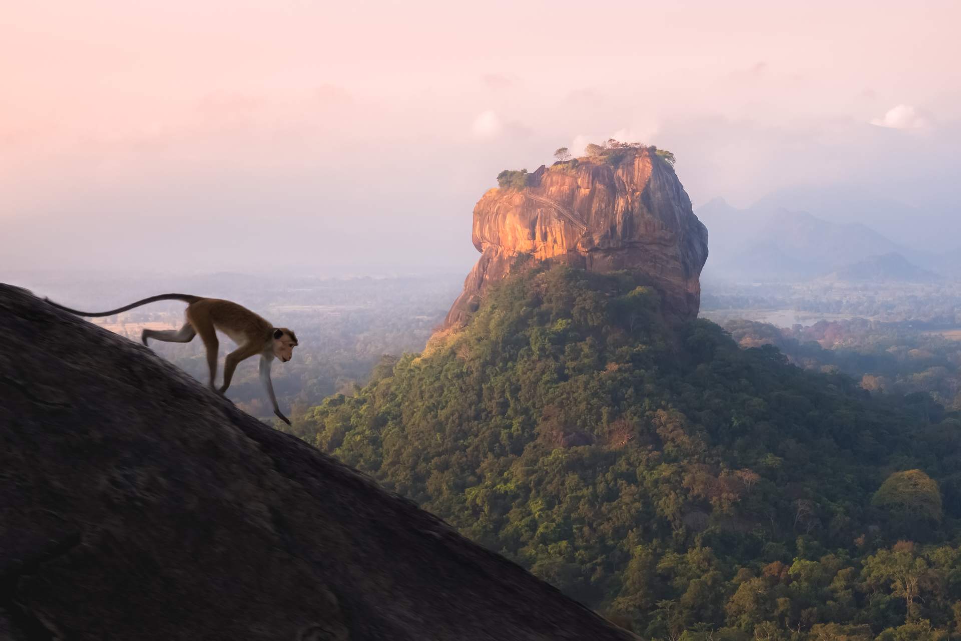 Plan your Sri Lanka trip today