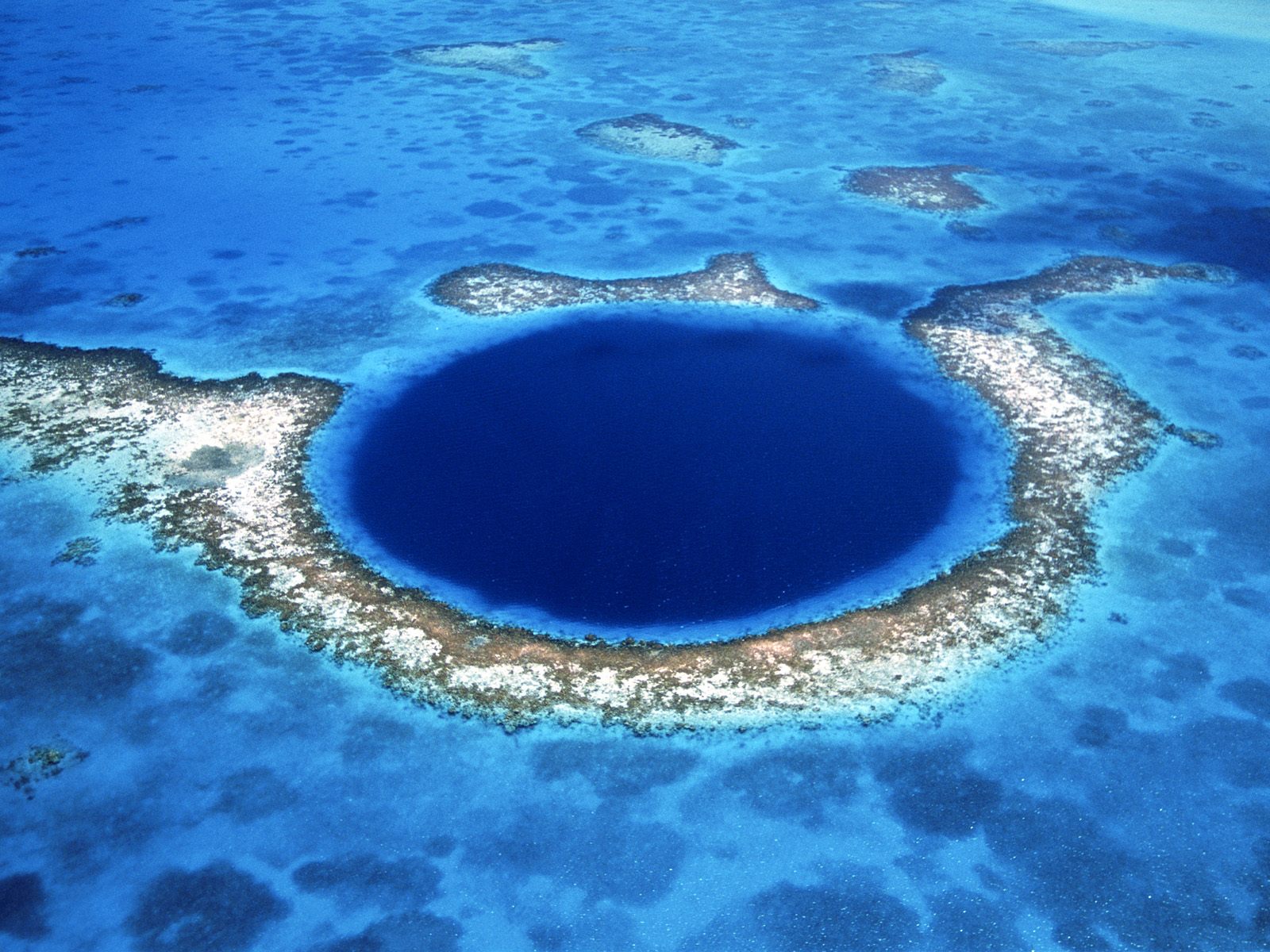 Dive Belize 