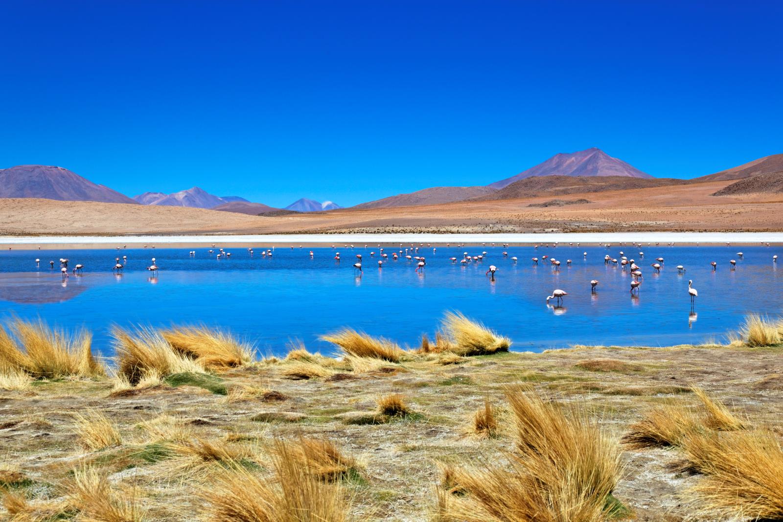 Ultimate Altiplanic Chile, Bolivia & Peru 