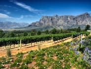 The Winelands