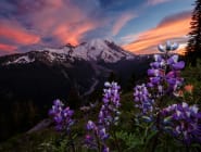 Pacific Northwest