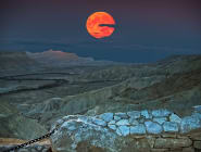 Negev Desert
