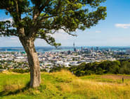 Auckland