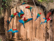 Puerto Maldonado