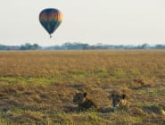Kafue National Park