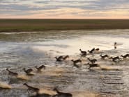 Liuwa Plain National Park