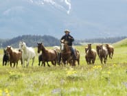 Montana