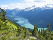 Whistler (Summer)