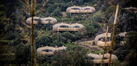 Bisate Lodge