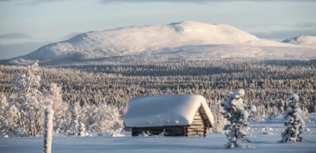 Linkka Package at Fjellborg Arctic Lodge - 3 days/2 nights